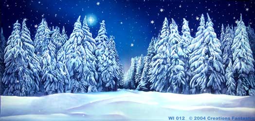 Backdrop WI012 Winter Wonderland 5