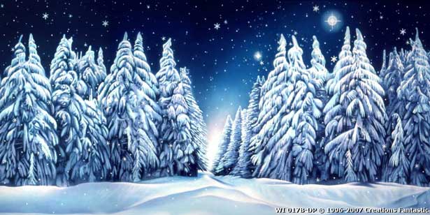 Backdrop Image: WI 017B-DP Winter Wonderland 9B