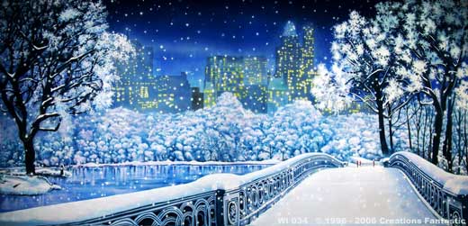 Backdrop WI034 Central Park Winter 2